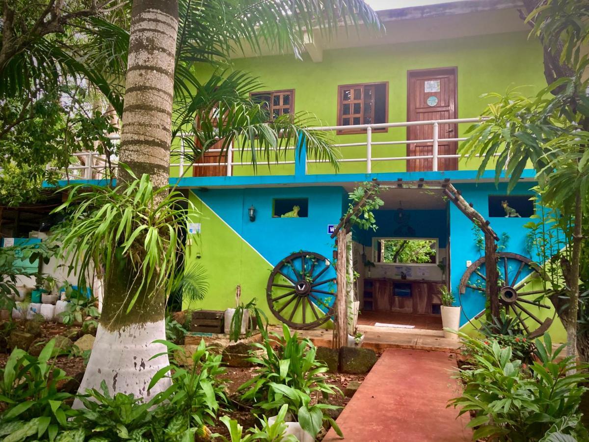 Auberge de jeunesse Yaxche Centro Y *